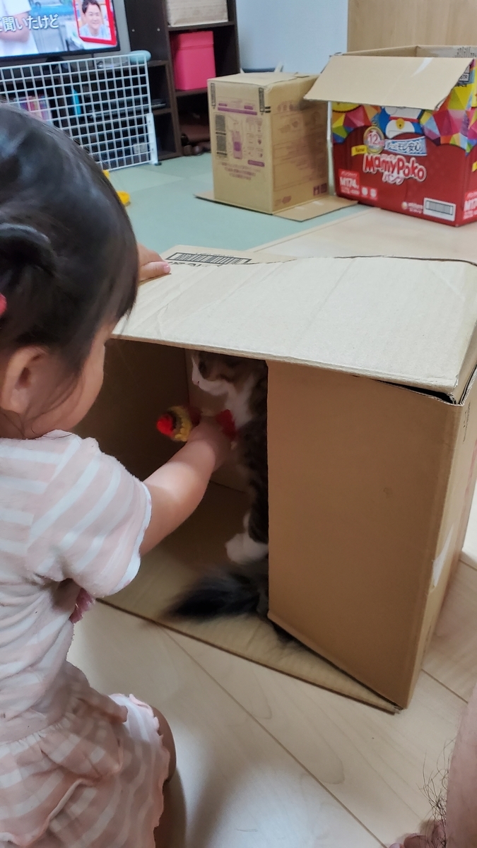 f:id:nekoja-peterpan:20200819201235j:plain