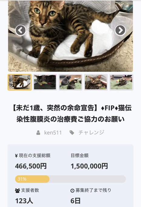 f:id:nekoja-peterpan:20200824235729j:plain f:id:nekoja-peterpan:20200824235729j:plain