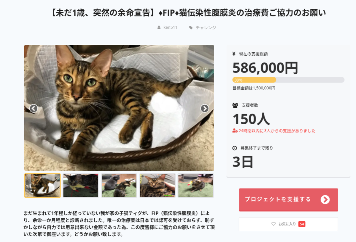 f:id:nekoja-peterpan:20200827204700p:plain