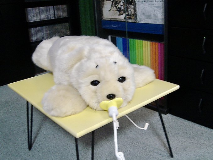 f:id:nekoja-peterpan:20200913002055j:plain f:id:nekoja-peterpan:20200913002055j:plain