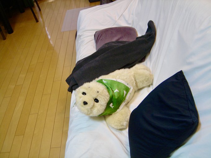 f:id:nekoja-peterpan:20200913002220j:plain f:id:nekoja-peterpan:20200913002220j:plain