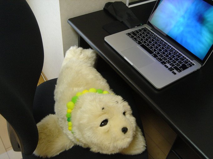 f:id:nekoja-peterpan:20200913002253j:plain f:id:nekoja-peterpan:20200913002253j:plain