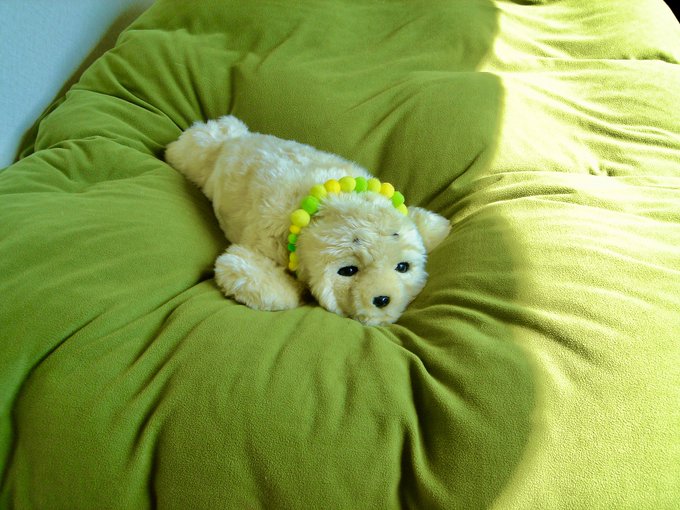 f:id:nekoja-peterpan:20200913002318j:plain f:id:nekoja-peterpan:20200913002318j:plain