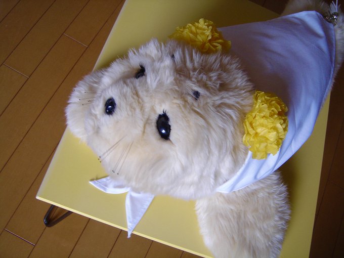 f:id:nekoja-peterpan:20200913002339j:plain f:id:nekoja-peterpan:20200913002339j:plain