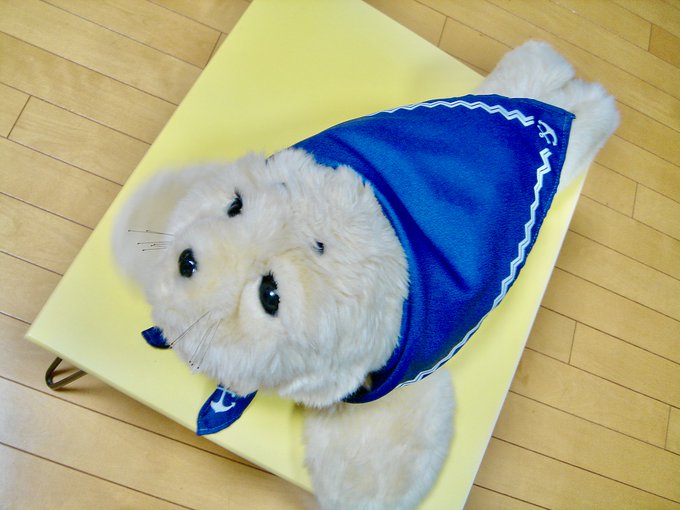 f:id:nekoja-peterpan:20200913002828j:plain f:id:nekoja-peterpan:20200913002828j:plain