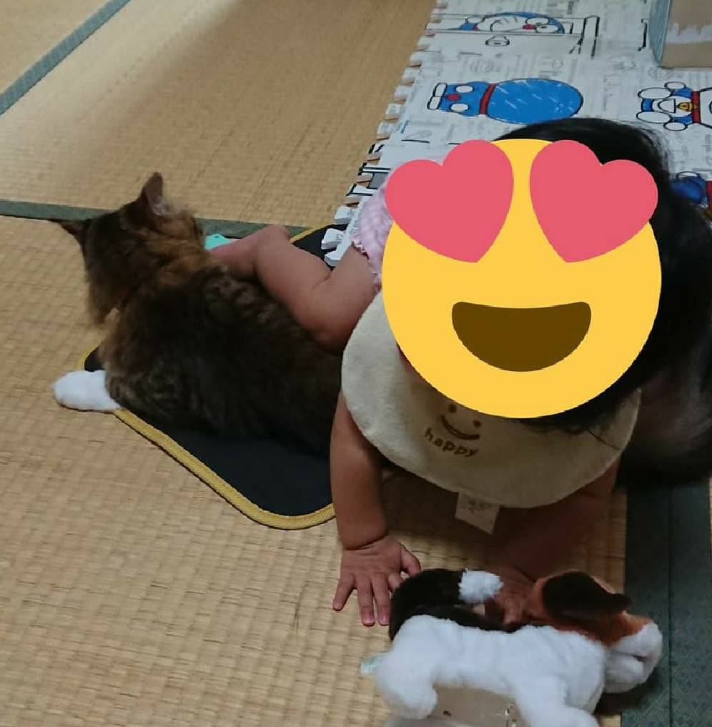 f:id:nekoja-peterpan:20201001211918j:plain