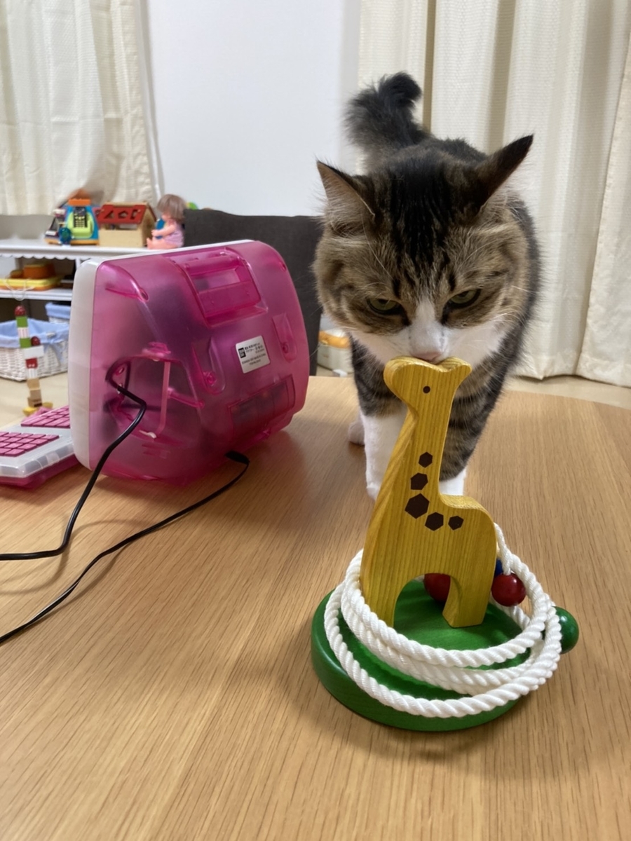 f:id:nekoja-peterpan:20201001212507j:plain