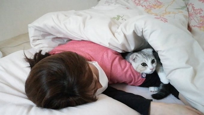 f:id:nekoja-peterpan:20201009160014j:plain f:id:nekoja-peterpan:20201009160014j:plain