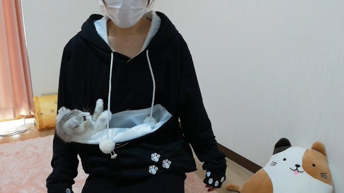 f:id:nekoja-peterpan:20201009161155j:plain f:id:nekoja-peterpan:20201009161155j:plain