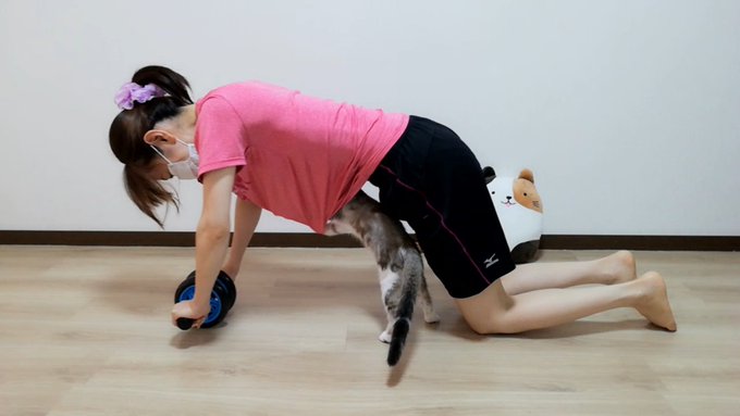 f:id:nekoja-peterpan:20201009161739j:plain f:id:nekoja-peterpan:20201009161739j:plain