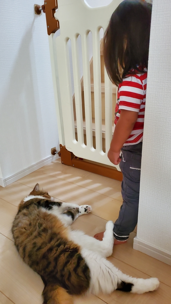 f:id:nekoja-peterpan:20201011134550j:plain f:id:nekoja-peterpan:20201011134550j:plain