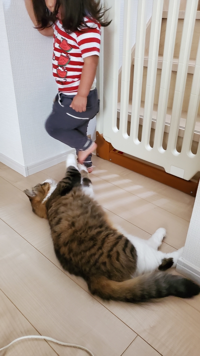 f:id:nekoja-peterpan:20201011134819j:plain f:id:nekoja-peterpan:20201011134819j:plain