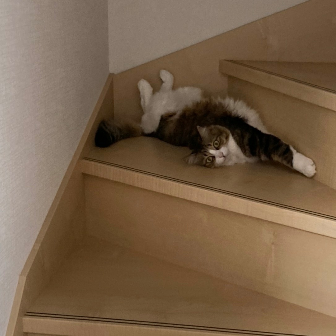 f:id:nekoja-peterpan:20201023005432j:plain f:id:nekoja-peterpan:20201023005432j:plain