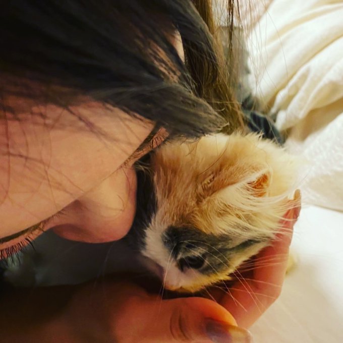 f:id:nekoja-peterpan:20201024125808j:plain