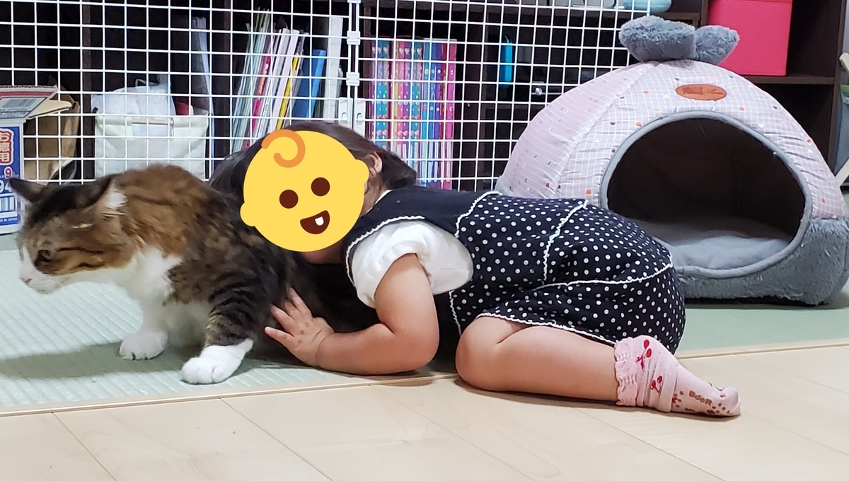 f:id:nekoja-peterpan:20201029175456j:plain