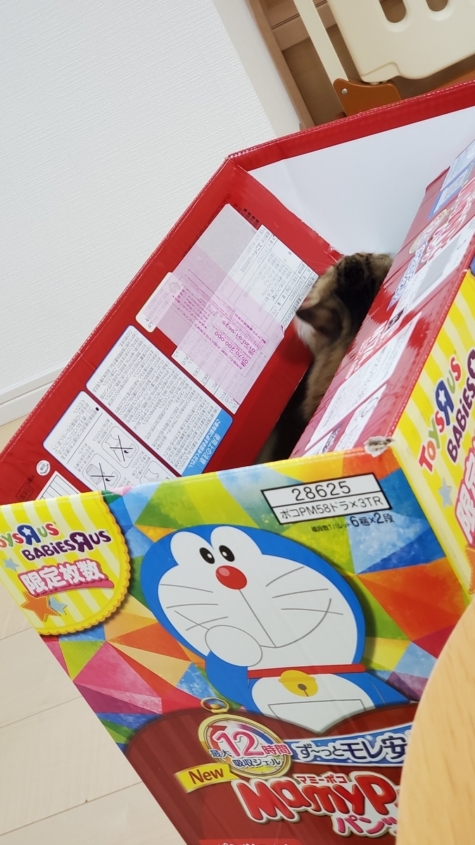 f:id:nekoja-peterpan:20201106182745j:plain