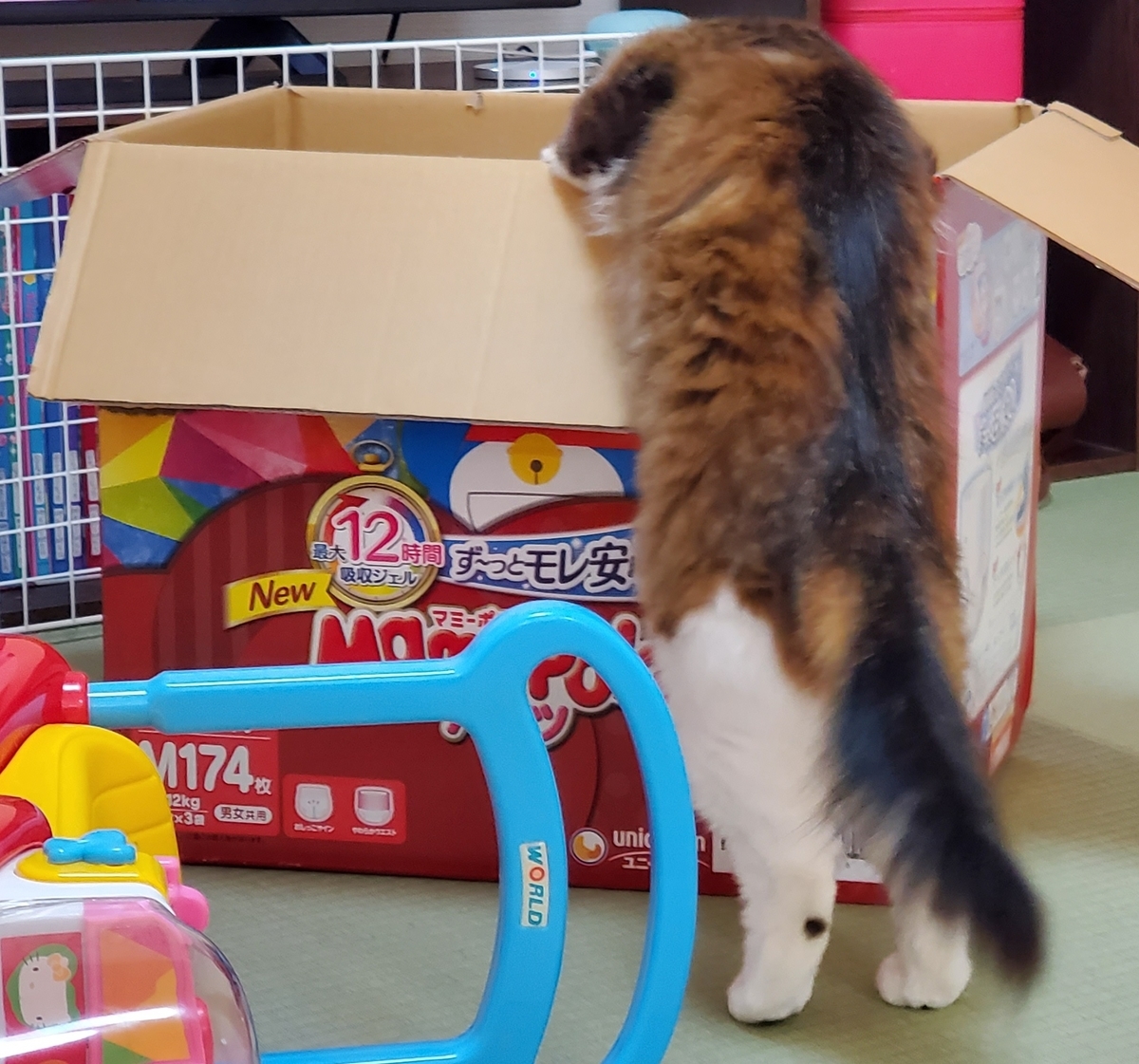 f:id:nekoja-peterpan:20201106183140j:plain