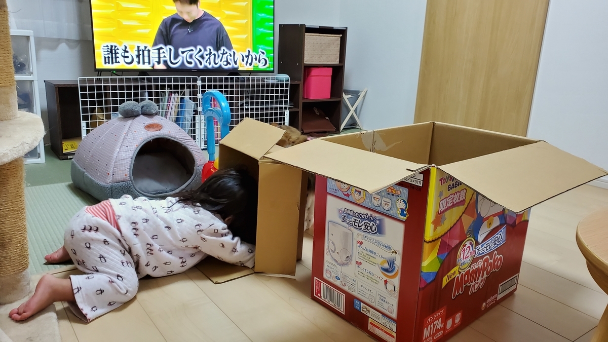 f:id:nekoja-peterpan:20201106183212j:plain