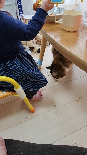 f:id:nekoja-peterpan:20201116025514j:plain