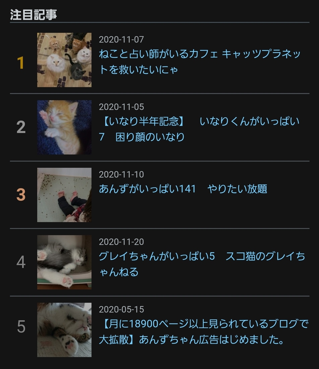 f:id:nekoja-peterpan:20201122232014j:plain