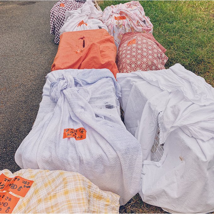 f:id:nekoja-peterpan:20201126022635j:plain