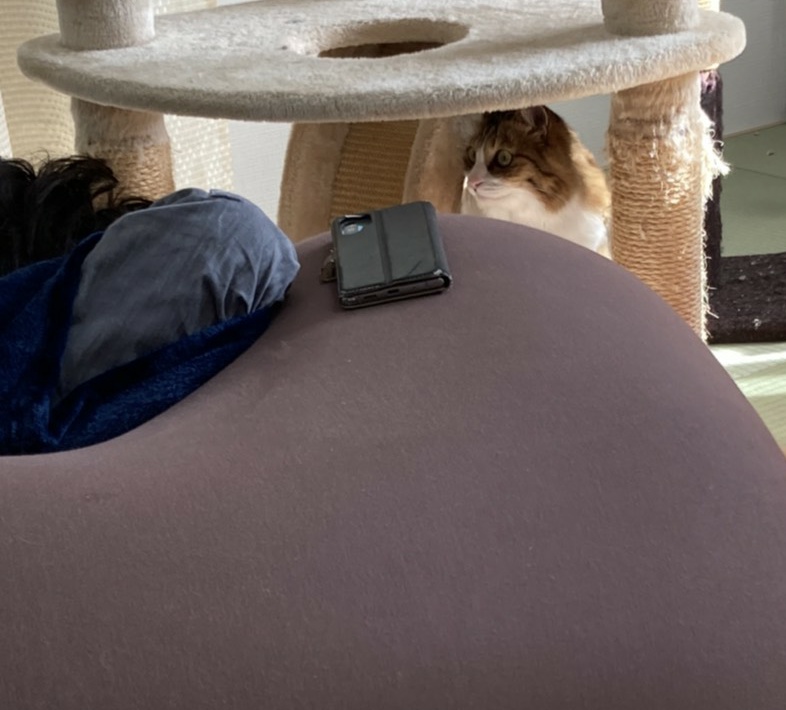 f:id:nekoja-peterpan:20201127194013j:plain