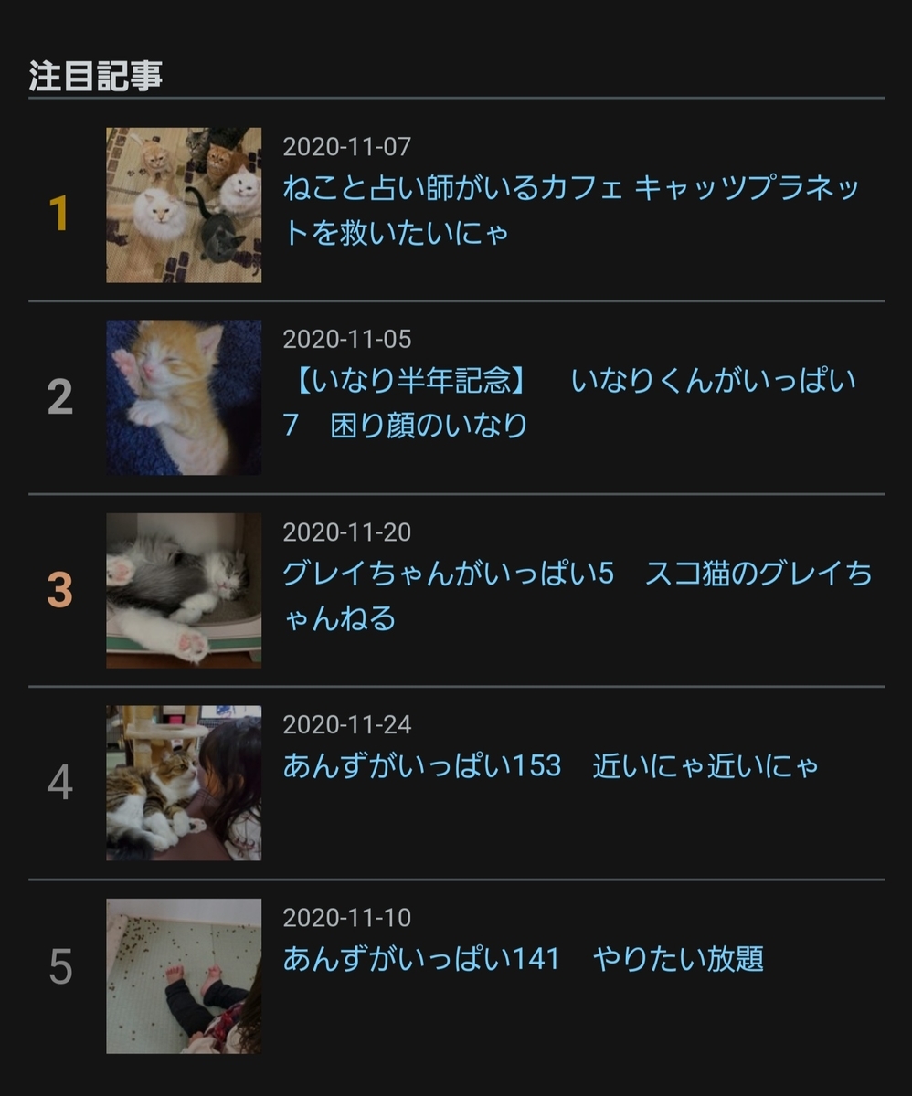 f:id:nekoja-peterpan:20201129224410j:plain