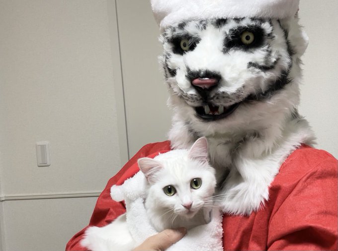 f:id:nekoja-peterpan:20210103114551j:plain