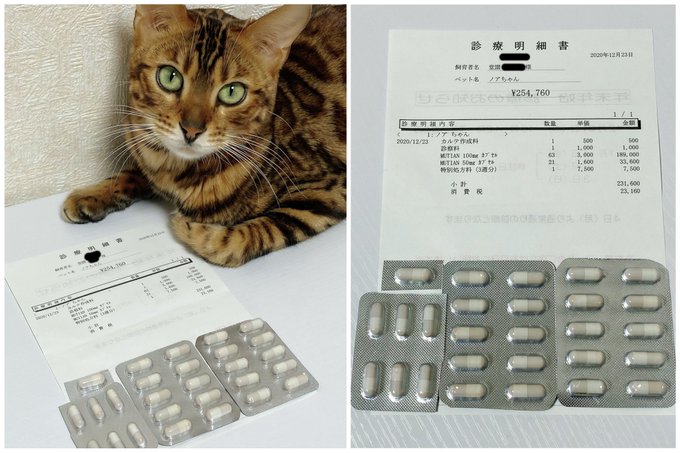 f:id:nekoja-peterpan:20210108164558j:plain