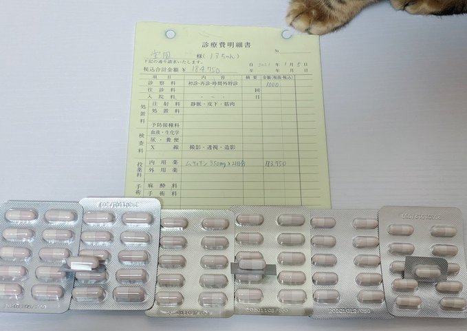 f:id:nekoja-peterpan:20210108164617j:plain