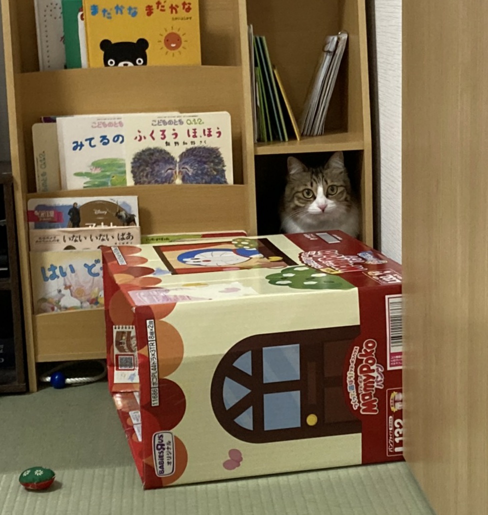 f:id:nekoja-peterpan:20210130133815j:plain