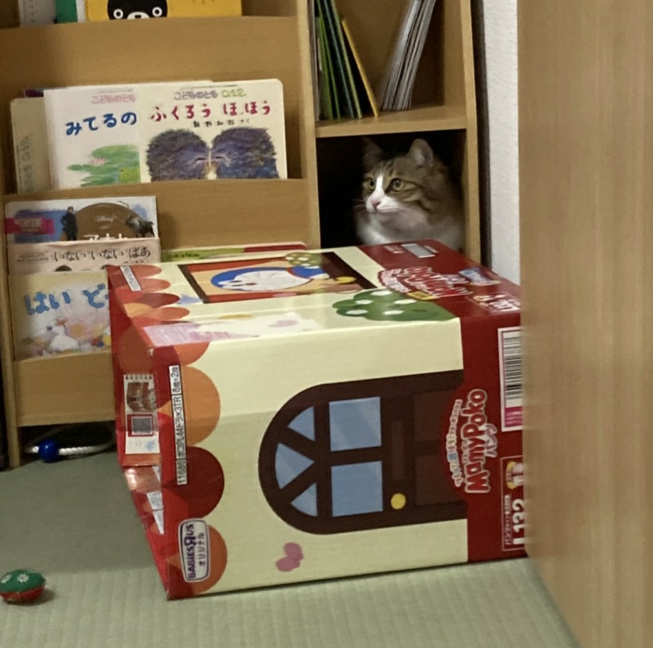 f:id:nekoja-peterpan:20210130133824j:plain