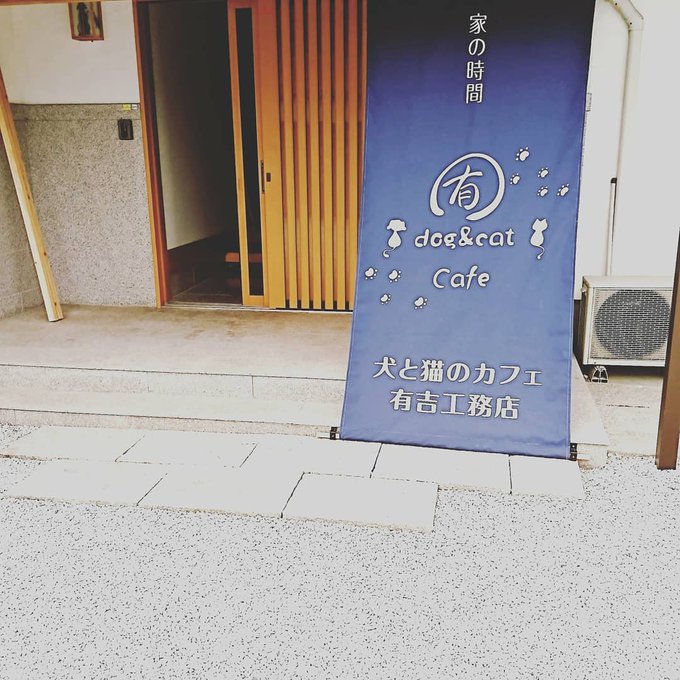 f:id:nekoja-peterpan:20210210191107j:plain