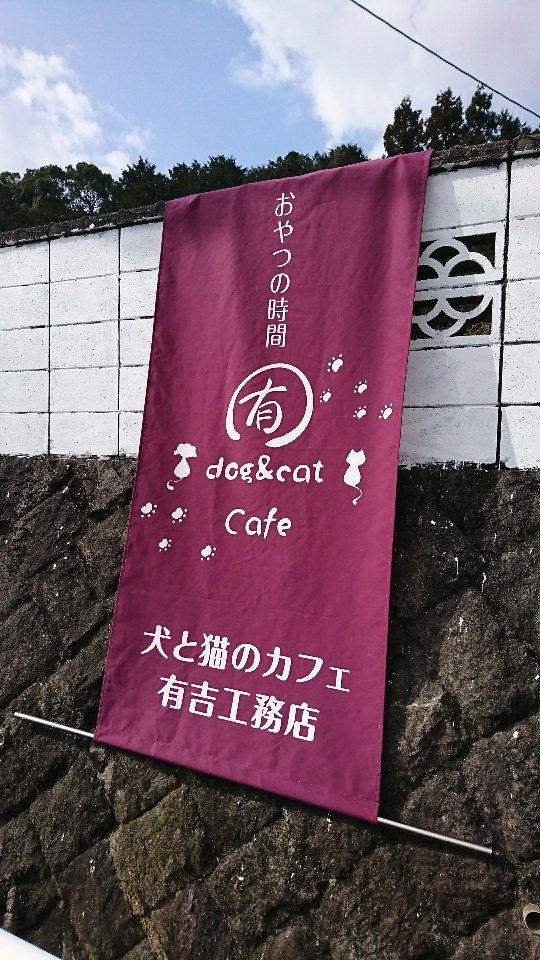 f:id:nekoja-peterpan:20210210191233j:plain