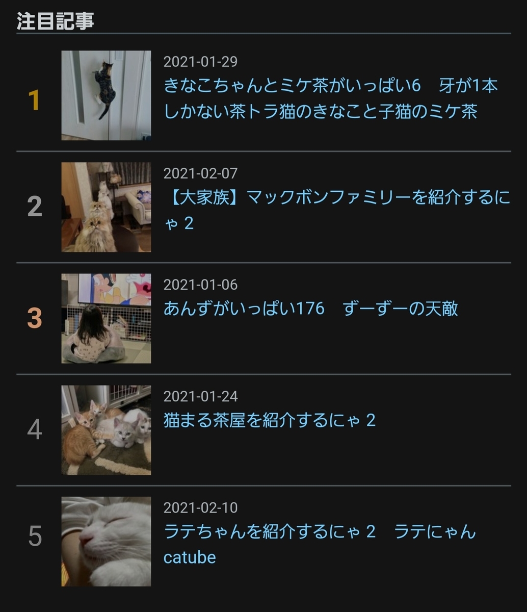 f:id:nekoja-peterpan:20210221232212j:plain