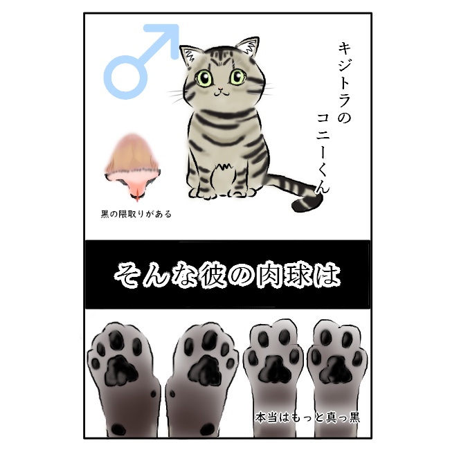 f:id:nekoja-peterpan:20210320123932j:plain