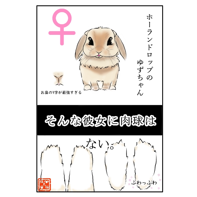 f:id:nekoja-peterpan:20210320123951j:plain
