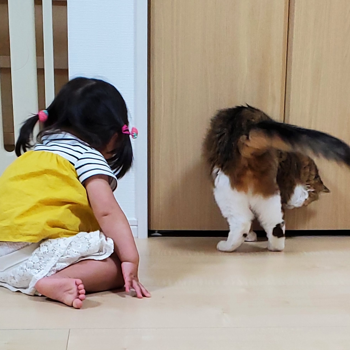 f:id:nekoja-peterpan:20210323171417j:plain