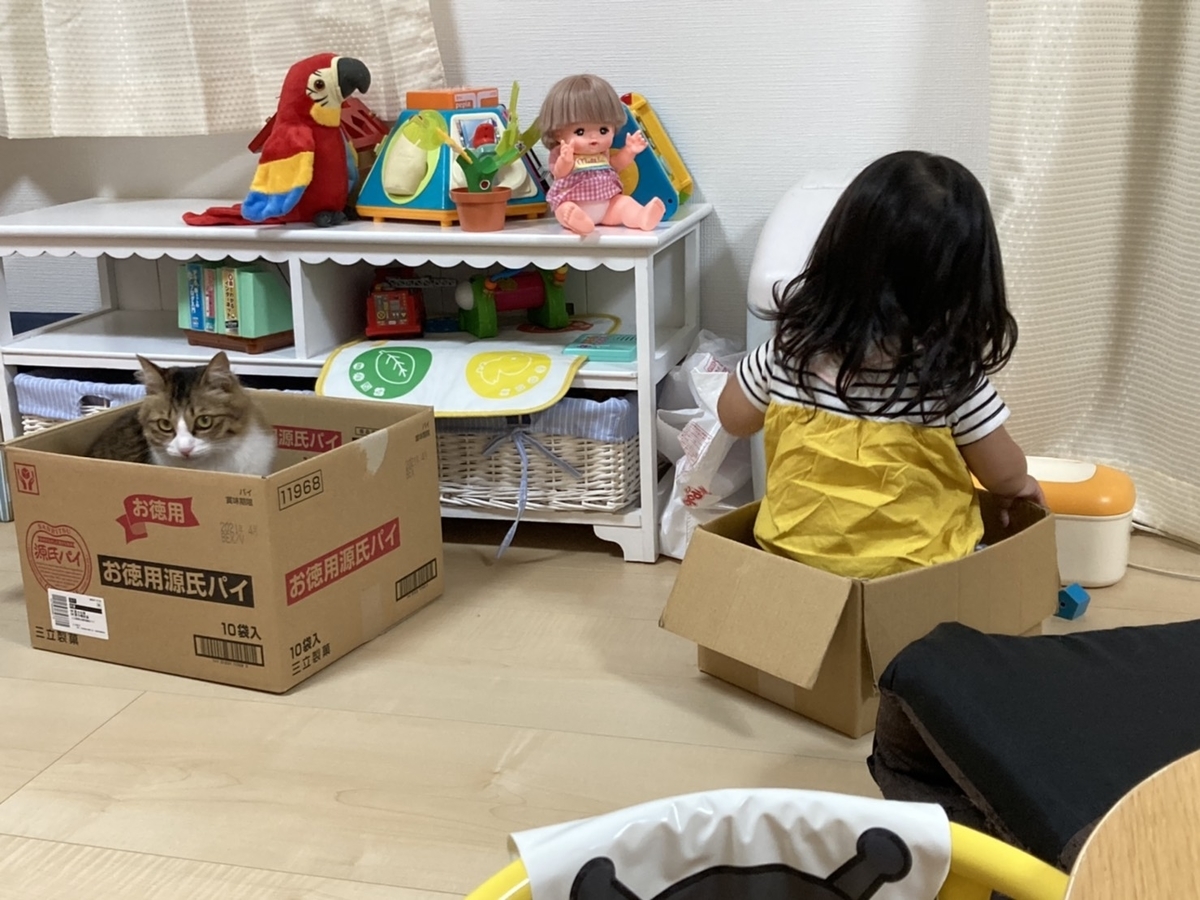 f:id:nekoja-peterpan:20210411100906j:plain