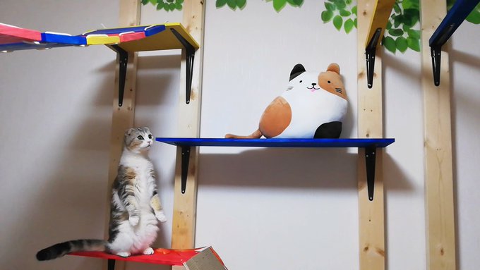 f:id:nekoja-peterpan:20210419131912j:plain