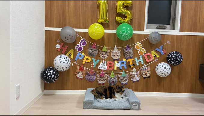 f:id:nekoja-peterpan:20210421143854j:plain