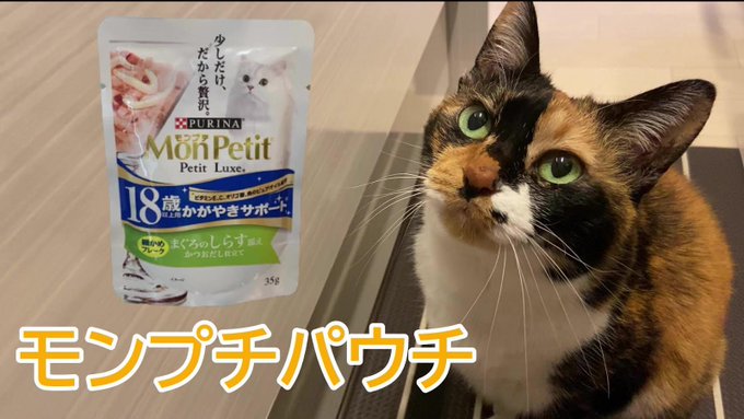 f:id:nekoja-peterpan:20210421144522j:plain