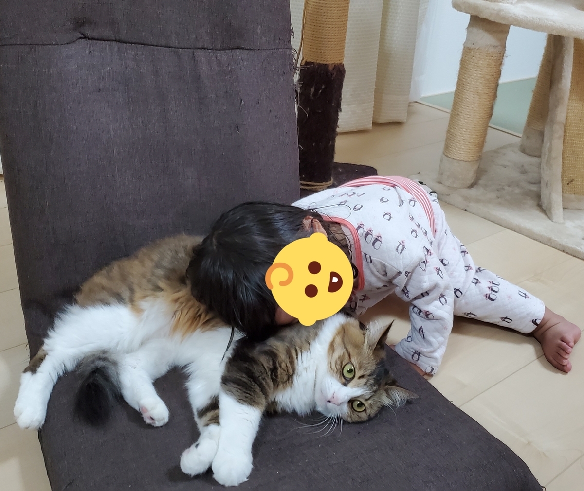 f:id:nekoja-peterpan:20210425181322j:plain