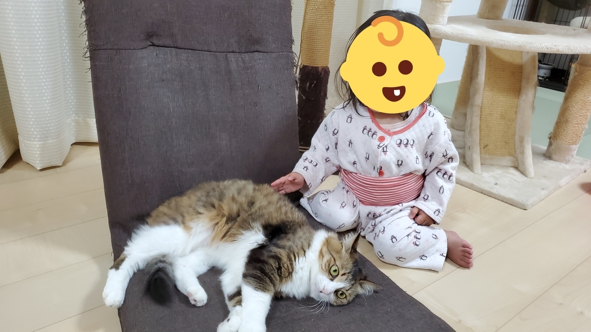 f:id:nekoja-peterpan:20210425181342j:plain