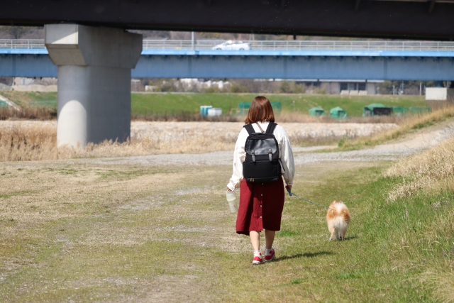 f:id:nekoja-peterpan:20210517181843j:plain