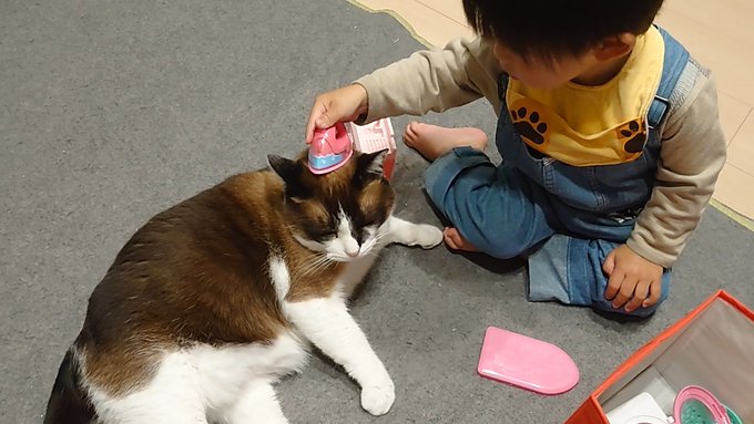 f:id:nekoja-peterpan:20210522155610j:plain
