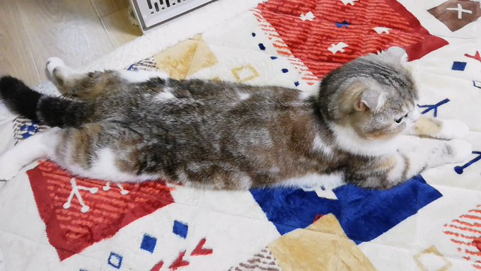 f:id:nekoja-peterpan:20210620194325j:plain