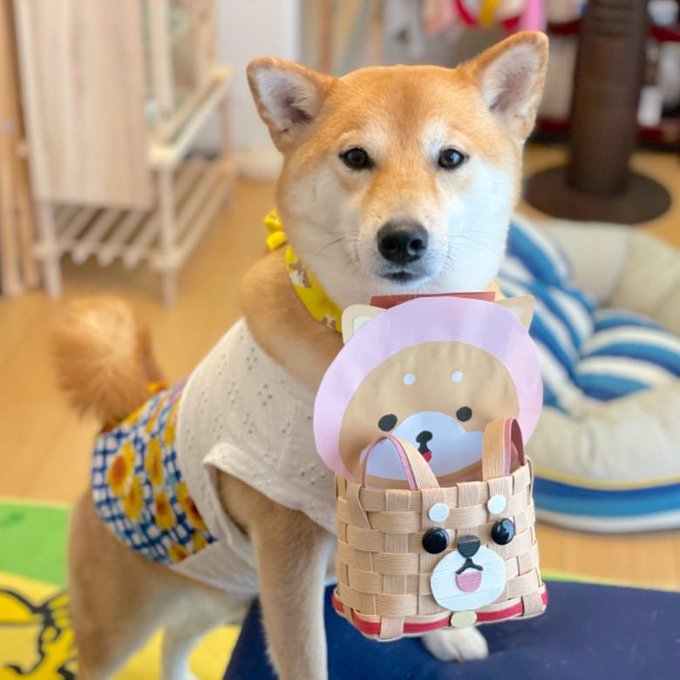 f:id:nekoja-peterpan:20210713225938j:plain