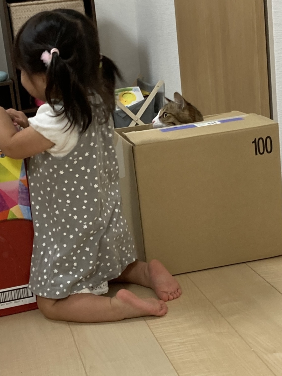 f:id:nekoja-peterpan:20210803152217j:plain