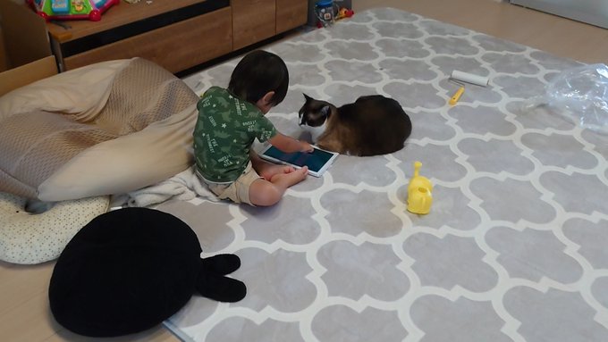f:id:nekoja-peterpan:20210826143113j:plain
